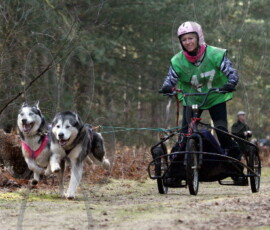 rendlesham024