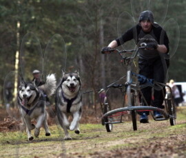 rendlesham025