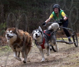 rendlesham026