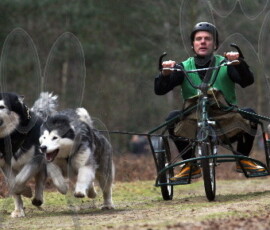 rendlesham029