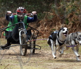 rendlesham033