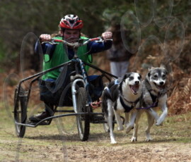 rendlesham034