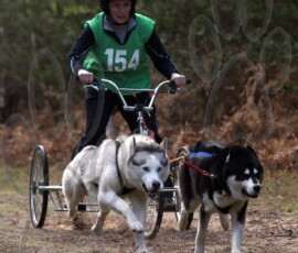 rendlesham035
