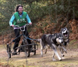 rendlesham036