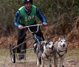 rendlesham038
