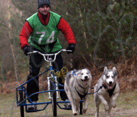 rendlesham041