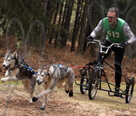 rendlesham042