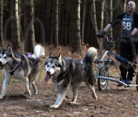 rendlesham044