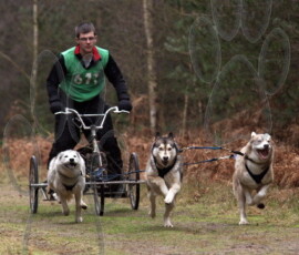 rendlesham047