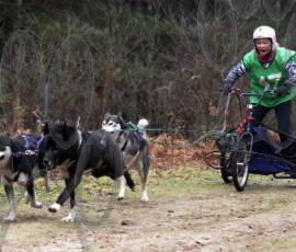 rendlesham051