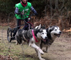 rendlesham053