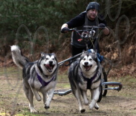 rendlesham054
