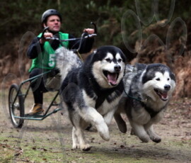 rendlesham058