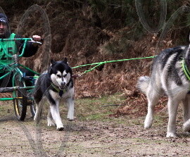 rendlesham059