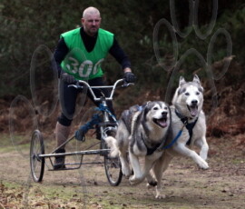 rendlesham061