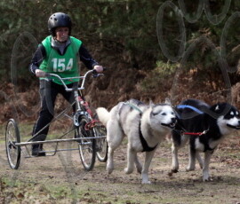 rendlesham062