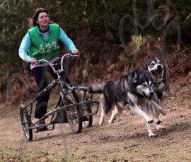 rendlesham063