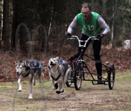 rendlesham066