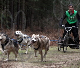 rendlesham069