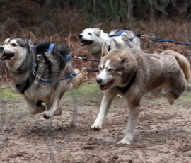 rendlesham070