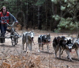 rendlesham071