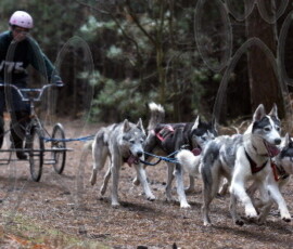 rendlesham072