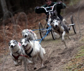 rendlesham079