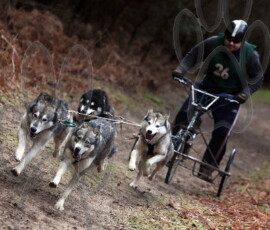 rendlesham081