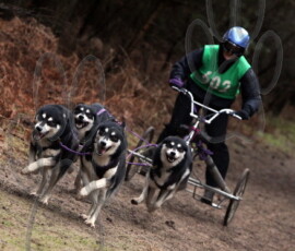 rendlesham082
