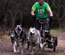 rendlesham084