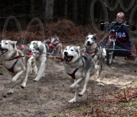 rendlesham086