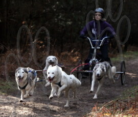 rendlesham087