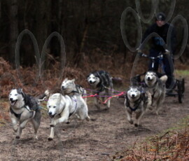 rendlesham093