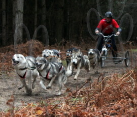 rendlesham098