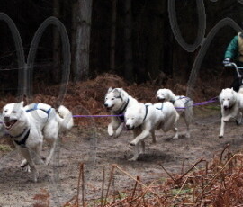 rendlesham099