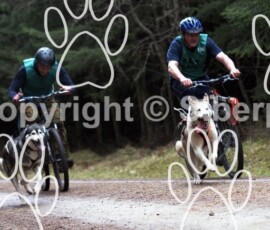sdas2010tentsmuir-113