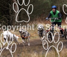 sdas2010tentsmuir-13