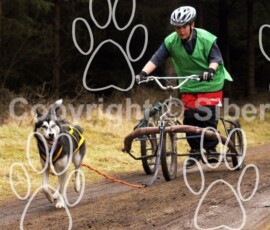 sdas2010tentsmuir-191