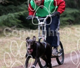 sdas2010tentsmuir-223