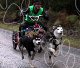 shcgbdyfnant034