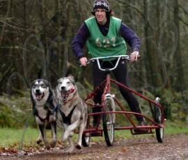 tenstmuir055