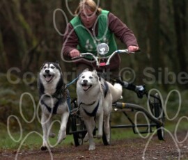 tenstmuir064