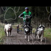 ae-228