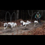 rendlesham099