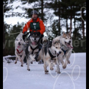 aviemoresnow397