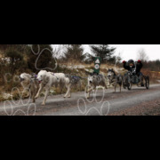 dyfnant125