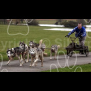 grimsthorpe235