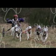 cranwich 576