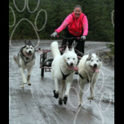 whitelee99