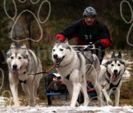 agrace067